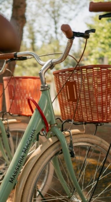 Biciclette verdi con cestini in vimini, parcheggiate all'aperto in un ambiente alberato.