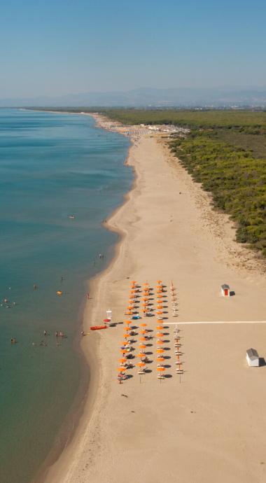 Spiaggia sabbiosa con ombrelloni arancioni, mare calmo e pineta sullo sfondo.