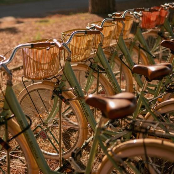 Biciclette vintage con cestini in vimini allineate in un parco soleggiato.